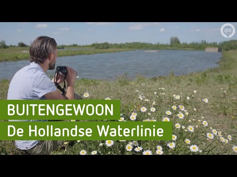 De prachtige natuur van de Hollandse Waterlinie | BuitenGewoon