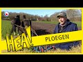 HEA! Ploegen met de paarden