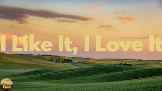 Tim McGraw - I Like It, I Love It (Lyrics)