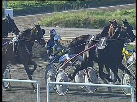 Trotto 26/03/2017 - 7ª corsa