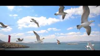 Z6 Prores Raw HDR 제주도 풍경 - 청춘, 프레임으로 추억되는 여행 - 이채범 감독 - 픽프 매거진