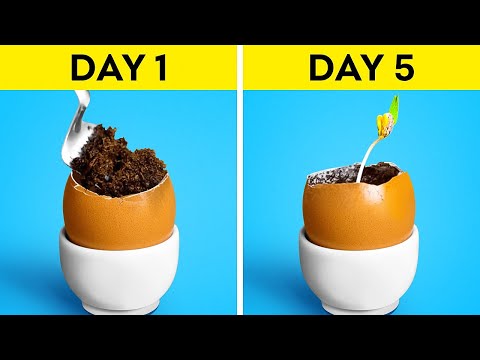 30 Gardening Ideas For Your Home || Gardening Tips, Hacks, DIYs