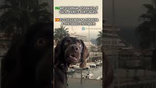 Espanhol é fácil… confia 😅