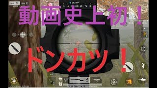 《ゲーム実況》荒野行動の音の聞こえないバグの中ドンカツｗ