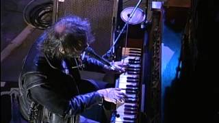 Neil Young - Mother Earth Live at Farm Aid 1993