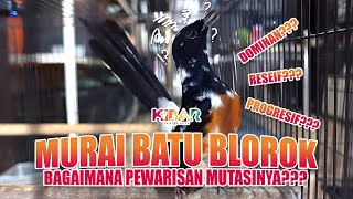 Download lagu MURAI BATU BLOROK, YAKIN BEGITU CARA CETAKNYA??? mp3