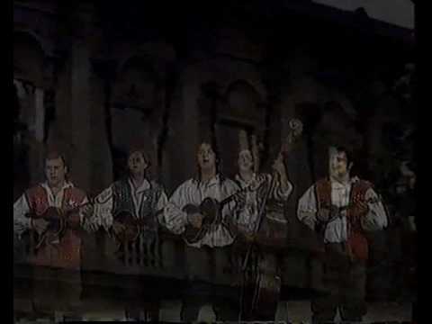 Zlatni dukati - Vukovar, Vukovar