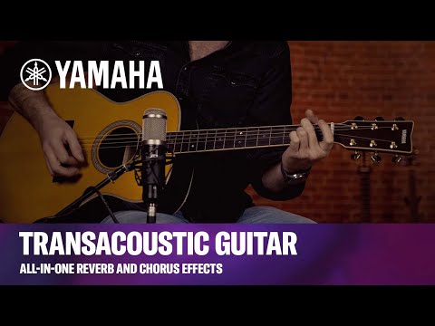 Yamaha | TransAcoustic Guitar | All-in-One Reverb and Chorus Effects