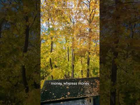 Feeling shame or guilt? 🫣