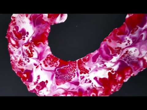 💟HAVE HALF A HEART!💟 Part 2- Easy Dry Dutch Bloom, Acrylic Pour, Fluid Art, Beginner's Dutch Bloom