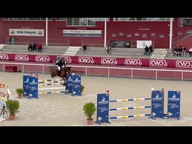 Jument de sport 140/145
