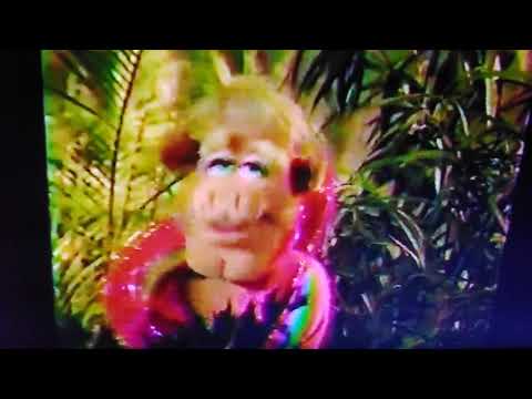 The Muppets At Walt Disney World but only when Link Hogthrob is onscreen