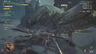 暇つぶしモンハンワイルズ