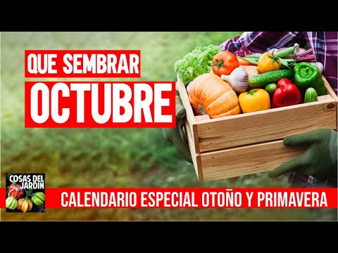 , title : 'Que sembrar en Primavera y en Otoño - Octubre 2020: Qué hacer en el huerto y el jardín'