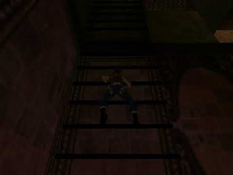 STRANGE BUG FOUND IN TRLE The Ordeal in the Shadow of Death