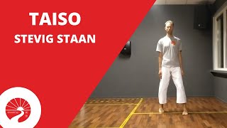 Taiso | Stevig staan