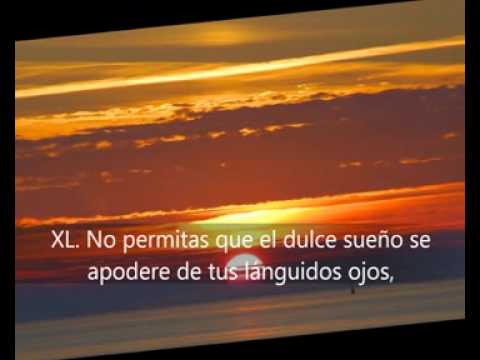 Versos de Oro de Pitágoras