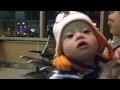 Noah S First Airplane Ride