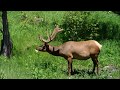 Lean on Me - Anne Murray; Rocky Mountain National Park on June 19, 2014