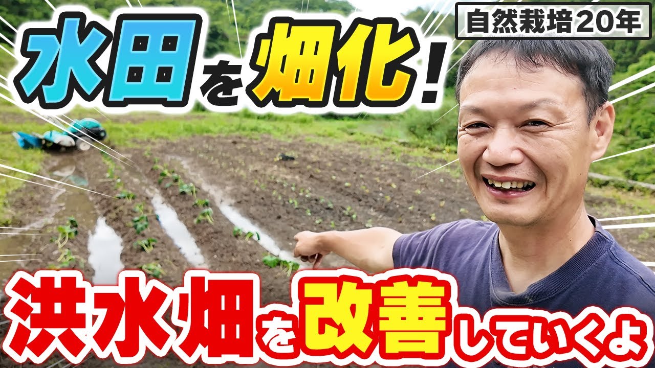 元水田を畑に変える!耕作放棄地開拓における「排水対策」と水みちづくりのリアル