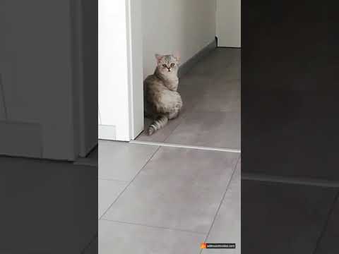 𝐦𝐢𝐚𝐯 𝐦𝐢𝐚𝐯 𝐦𝐢𝐚𝐯😍