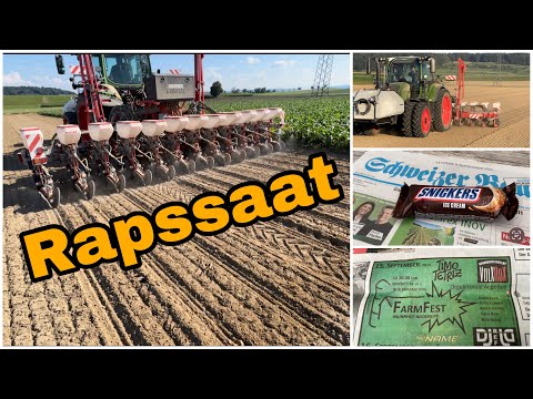 Rapssaat
