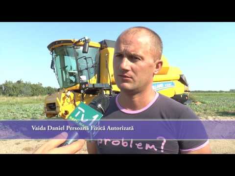 Ferma VAIDA Daniel,  Culciu Mare - Proiect Achiziţie Utilaje Agricole prin GAL Somes-Codru
