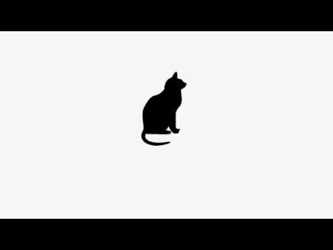 Vladimir Corbin - Black Cat