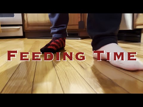 Feeding Time (Short Film)