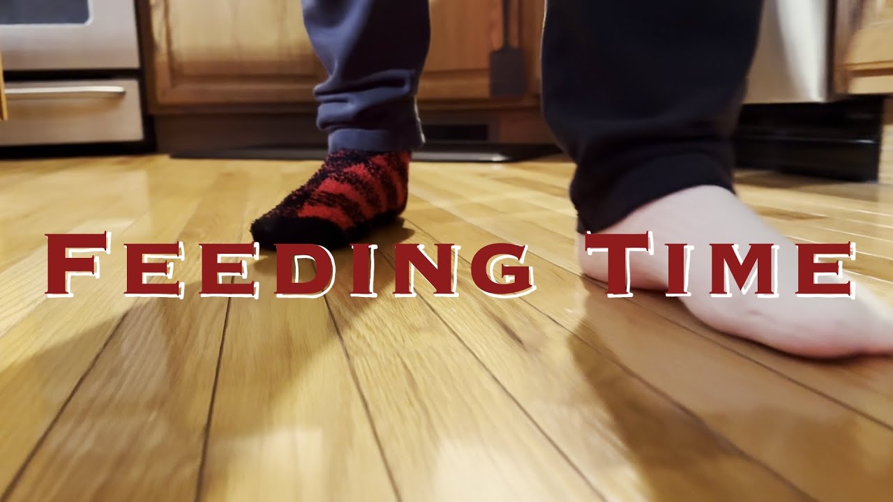 Feeding Time (Short Film)