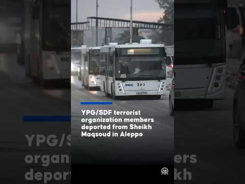 YPG/SDF terrorist organization members deported from Sheikh Maqsoud in Aleppo