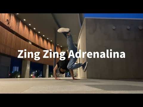 【1日1曲】【Freestyle Dance】Zing Zing Adrenalina : Party Collective