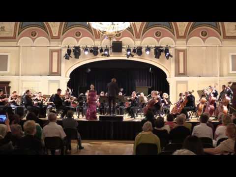 "Der Hölle Rache" -  Mozart's Queen of the night aria - Jeffie Leung