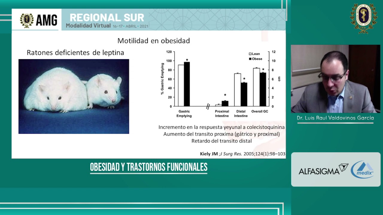 Luis Raúl Valdovinos García-26