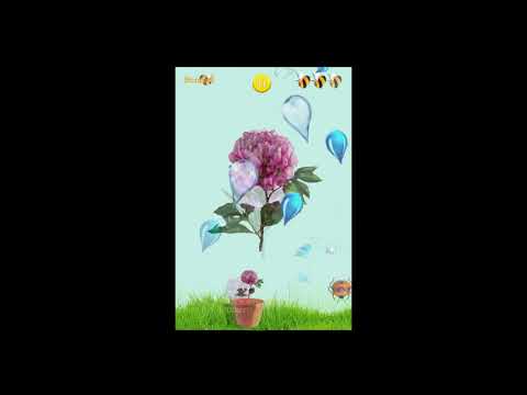 Bees Flowers