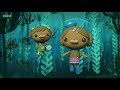 Octonauts, Series 4, Octonauts and the Kelp Monster Mystery
