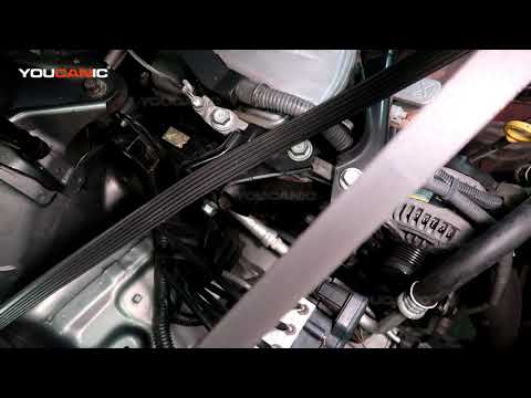 2012-2017 Toyota Camry XV50 Serpentine Belt Replacement