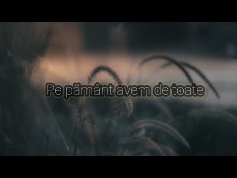 Vlad Isepciuc - Pe pamant avem de toate