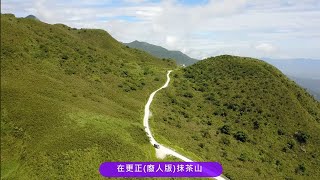 有冷氣吹的抹茶山（不用爬山）