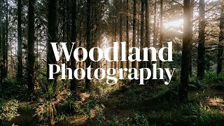 Woodland Photography | Forest Photos | Sony A9II + 24mm GM