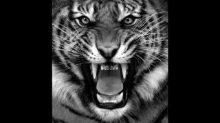 Follow Me by Kim Lenz and the Jaguars