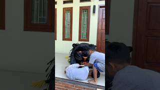 Download lagu Macanan tidurr di usilinn?? mp3