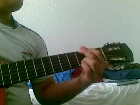 Fiel pelicano - Toca de Assis