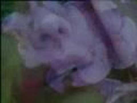 Dot Allison - Thief Of Me