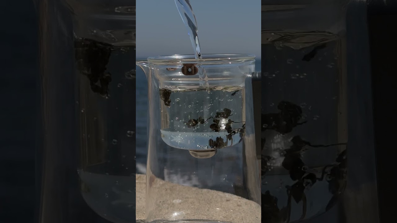 Чайник для заваривания TeaPot D-10 Square 600ml