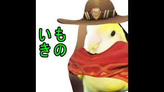 いきもの のライブ配信