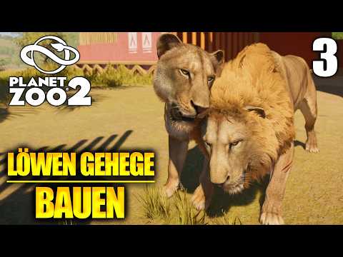Meine ersten LÖWEN bekommen direkt Nachwuchs! | Planet Zoo 2