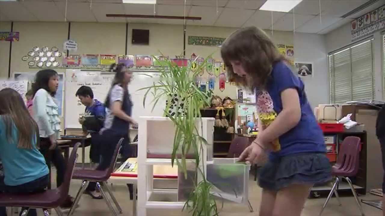 Miranda participating in her grade 4 classroom