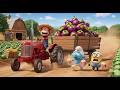 A Beautiful Farm Day Turns Busy As Monkey Kiki Harvests Fresh Mangosteens On The Farm
