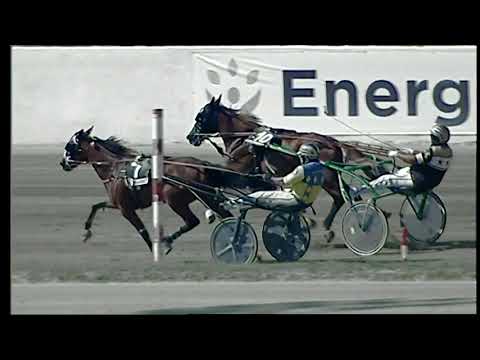 Napoli Trotto 03/09/2021 - 2ª corsa